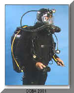 CCBA2001.jpg (10488 bytes)