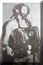 Pirelli_LS-901.jpg (18659 bytes)