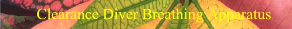banner 2