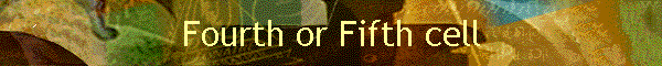 Fourth or Fifth cell