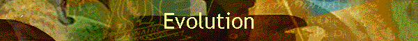 Evolution