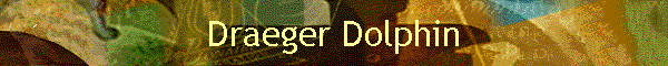 Draeger Dolphin