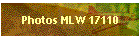 Photos MLW 17110