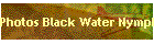 Photos Black Water Nymph